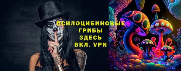 дмт Алексин