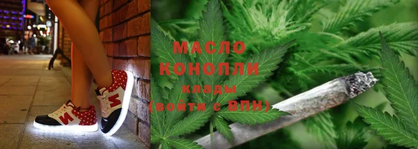 дмт Алексин